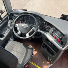 Man Lion's Coach