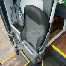Man Lion's Coach