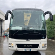 Man Lion's Coach
