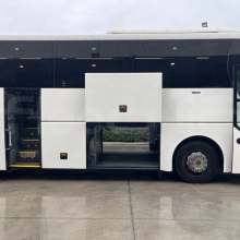 Man Lion's Coach