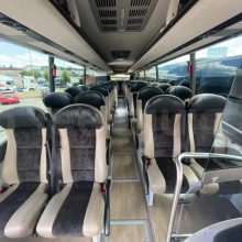 Man Lion's Coach