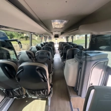 Man Lion's Coach