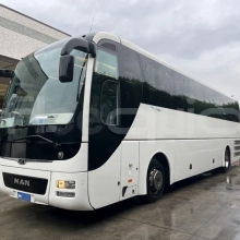Man Lion's Coach