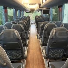 Man Lion's Coach