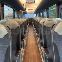 Man Lion's Coach