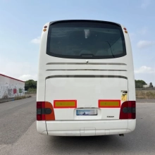 Man Lion's Coach