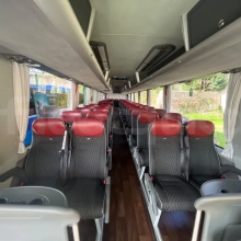 Man Lion's Coach