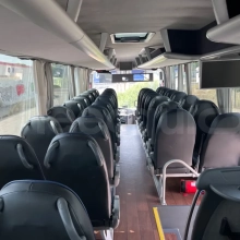 Man Lion's Coach