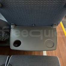Man Lion's Coach