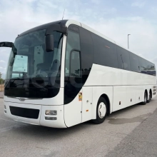 Man Lion's Coach