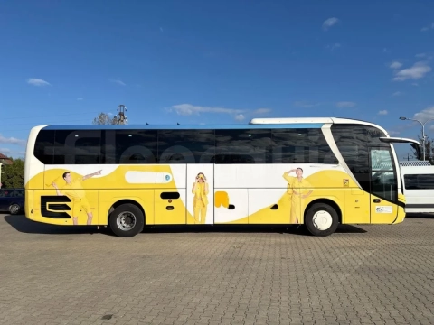 Man Lion's Coach