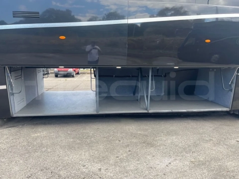 Man Lion's Coach