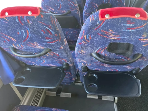 Man Lion's Coach