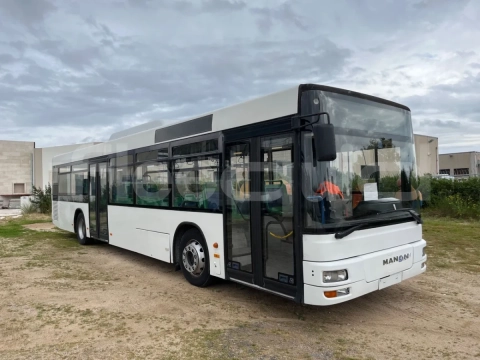 Man A21