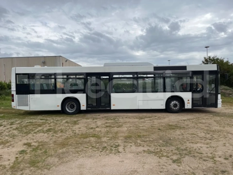 Man A21