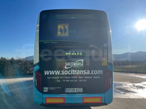 Man Lion's Coach