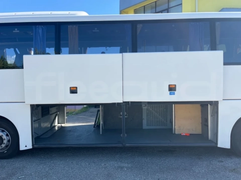 Man Lion's Coach