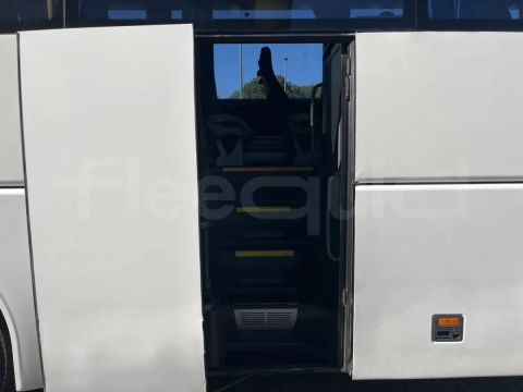 Man Lion's Coach