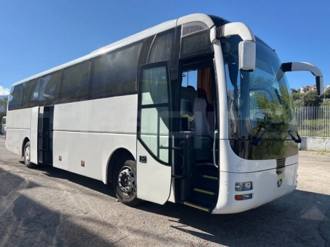 Man Lion's Coach