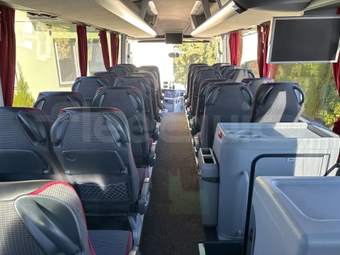 Man Lion's Coach