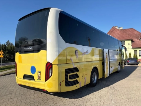 Man Lion's Coach