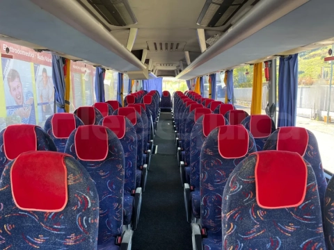 Man Lion's Coach