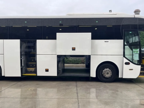 Man Lion's Coach