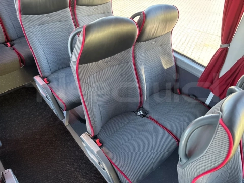 Man Lion's Coach