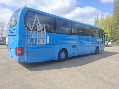 MAN LION'S COACH