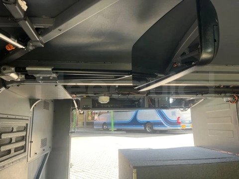 Man Lion's Coach