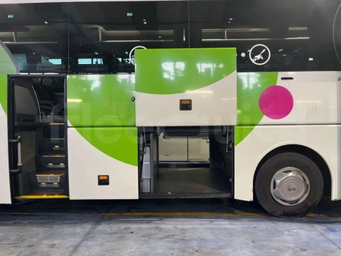 Man Lion's Coach