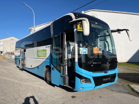 Man Lion's Coach