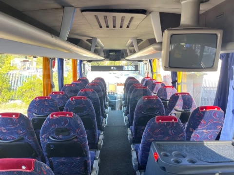 Man Lion's Coach