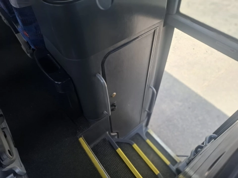 MAN LION'S COACH