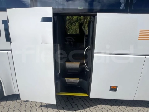 Man Lion's Coach