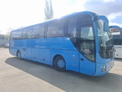 MAN LION'S COACH