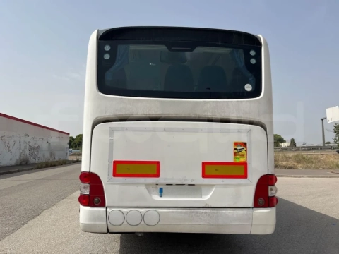 Man Lion's Intercity