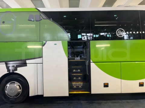 Man Lion's Coach