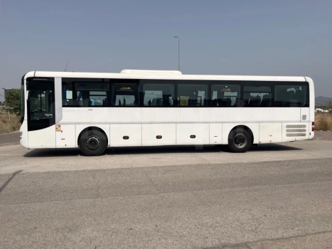 Man Lion's Intercity