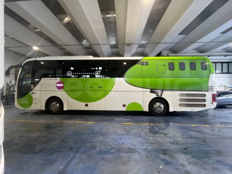 Man Lion's Coach