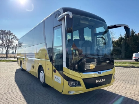 Man Lion's Coach