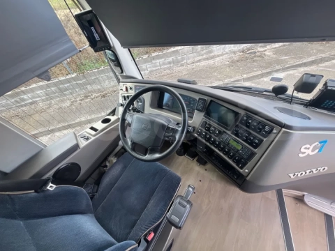 Man Lion's Coach