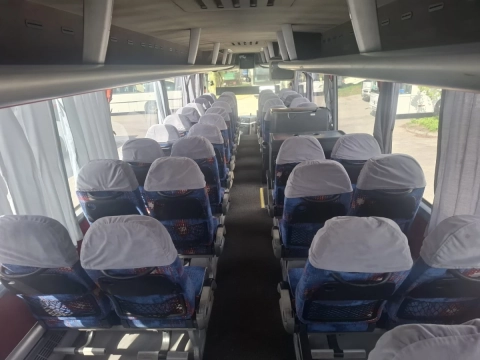 MAN LION'S COACH
