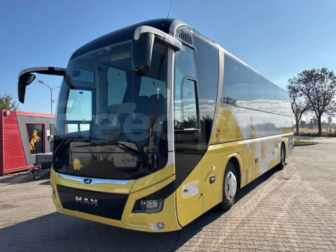 Man Lion's Coach