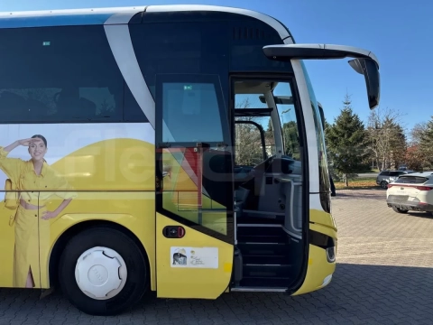 Man Lion's Coach