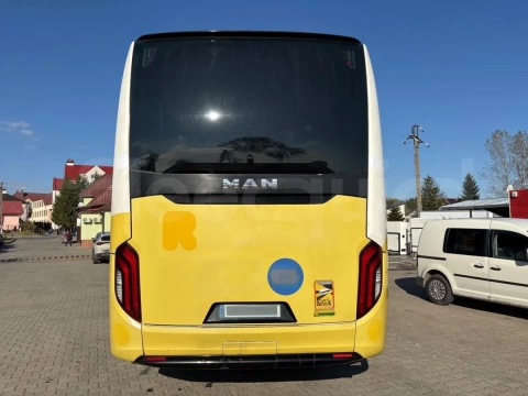 Man Lion's Coach