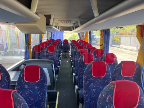 Man Lion's Coach