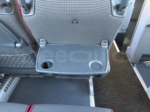 Man Lion's Coach