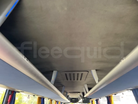 Man Lion's Coach