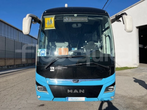 Man Lion's Coach